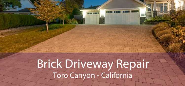 Brick Driveway Repair Toro Canyon - California