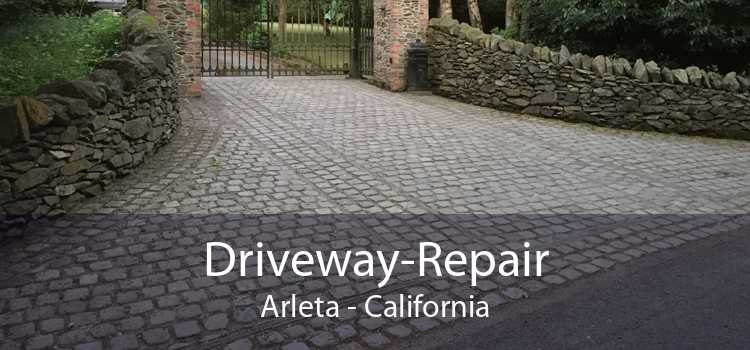 Driveway-Repair Arleta - California