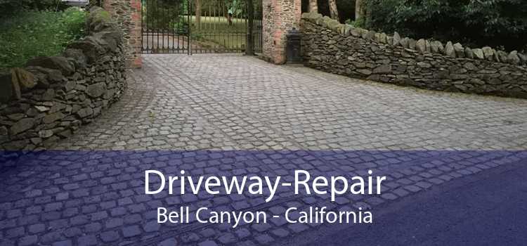 Driveway-Repair Bell Canyon - California