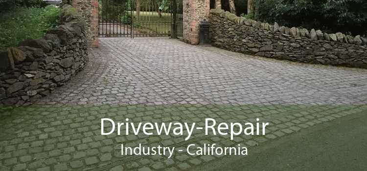 Driveway-Repair Industry - California