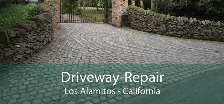 Driveway-Repair Los Alamitos - California