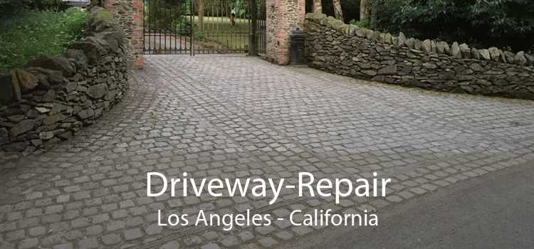 Driveway-Repair Los Angeles - California