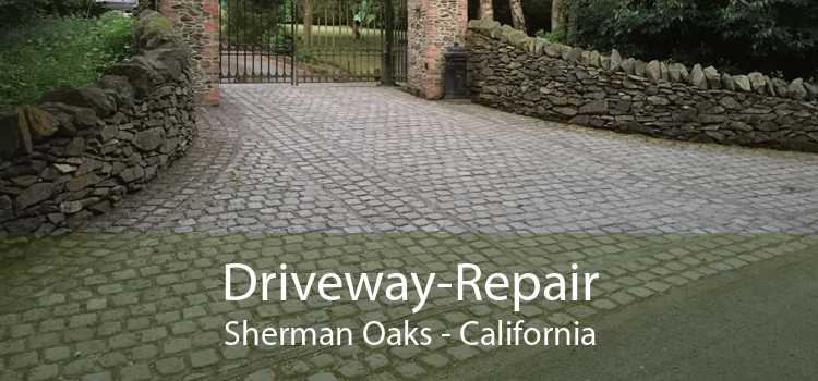 Driveway-Repair Sherman Oaks - California