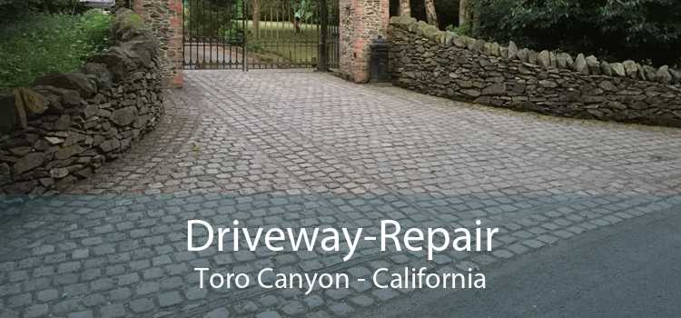Driveway-Repair Toro Canyon - California