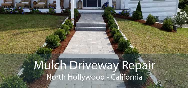 Mulch Driveway Repair North Hollywood - California